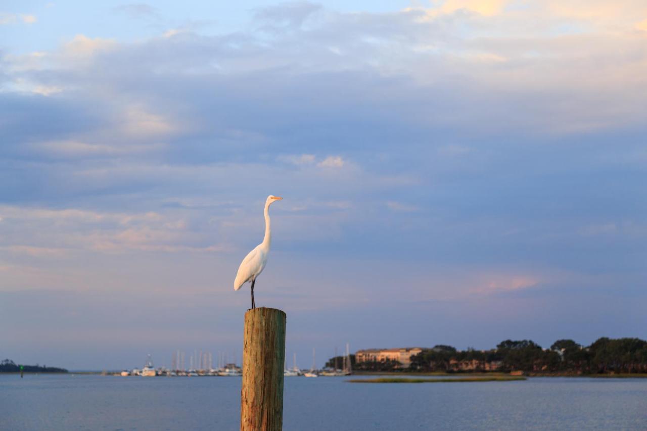 Sea Side Villas Hilton Head Island Exteriér fotografie